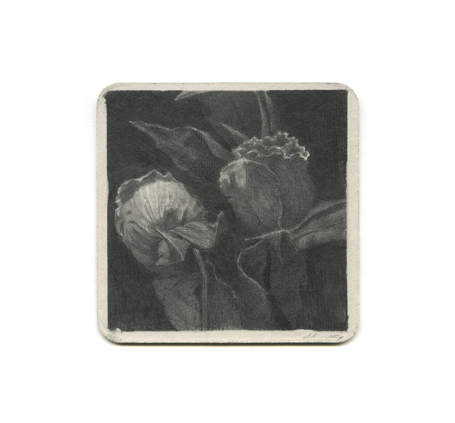 S2 Zach Oldenkamp - Flowers For Jeremy Coaster