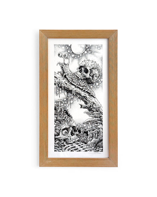 Wahyv Satria - A Strange Snail