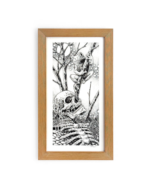 Wahyv Satria - The Frog