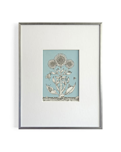 Jesse Fillingham - Host II