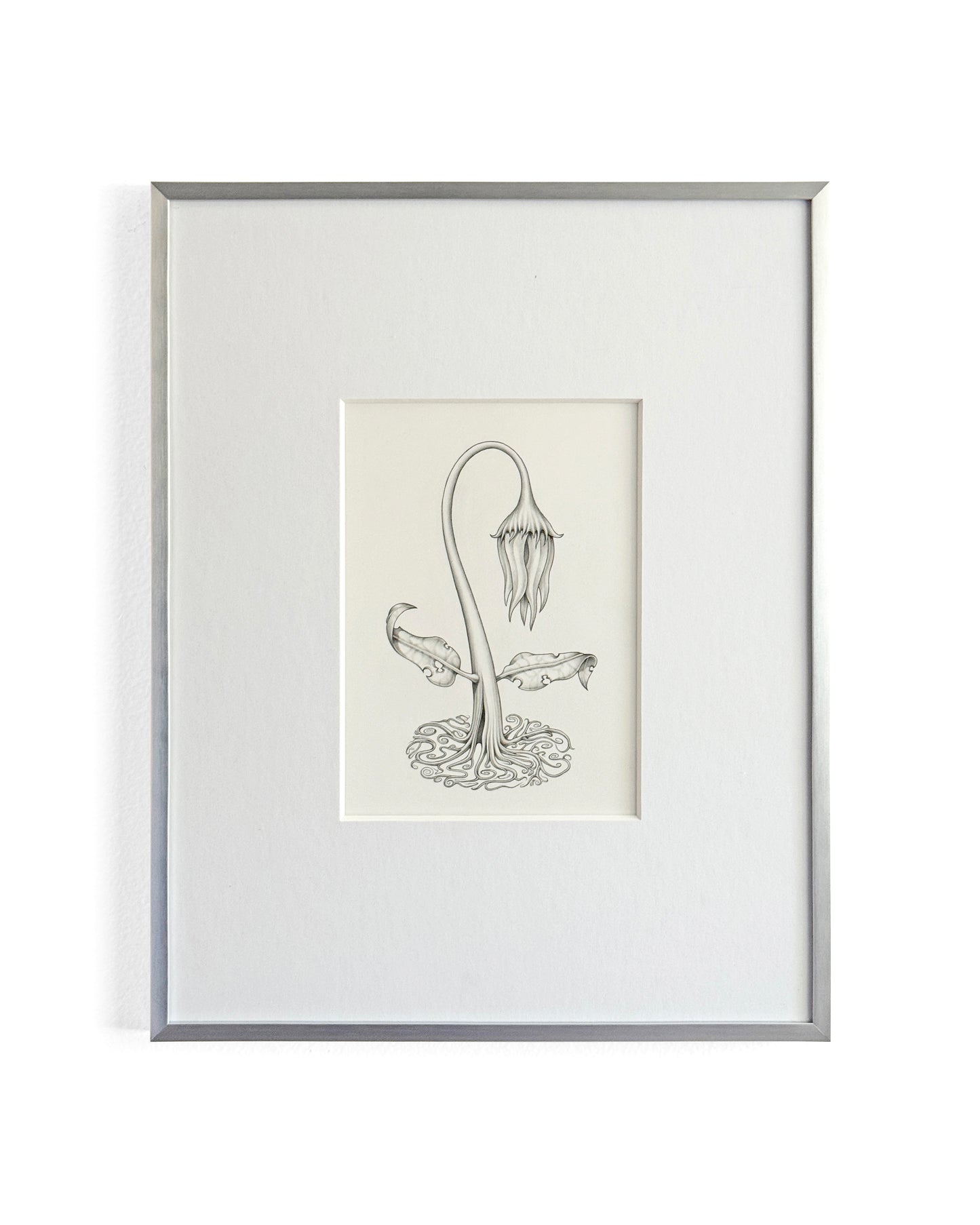 Jesse Fillingham - Wilt