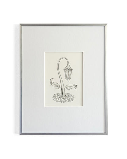 Jesse Fillingham - Wilt