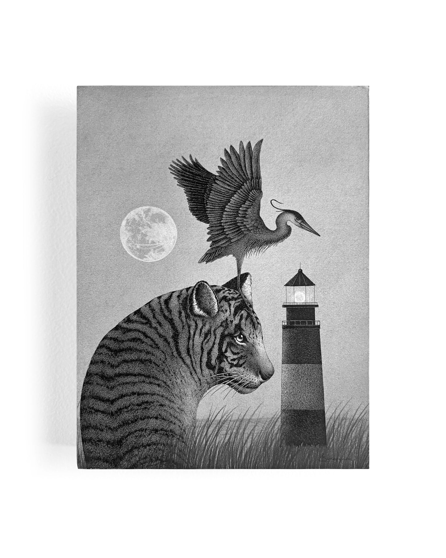 Juliet Schreckinger - A Twilight Dance