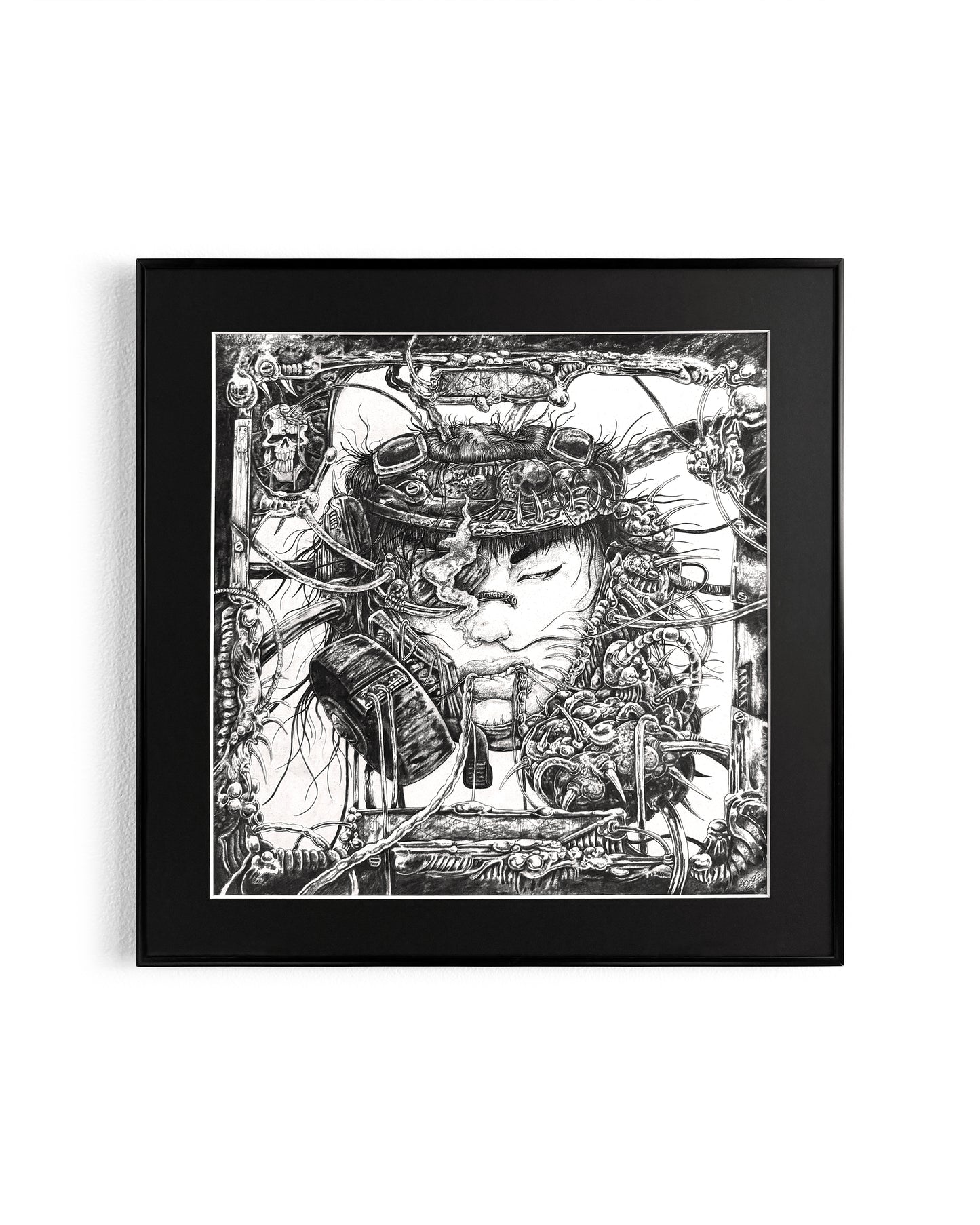 Quentin Gomzé - Dragonhead