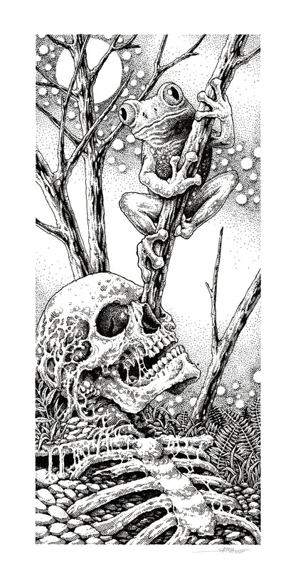 Wahyv Satria - The Frog