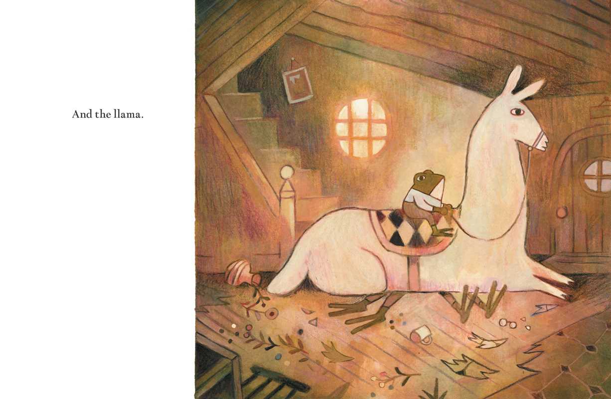 Pokko and the Drum by Matthew Forsythe: Hardcover; 64 pages / English