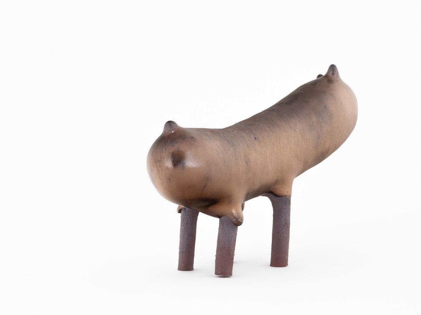 Kozy Kitchens - Shirley