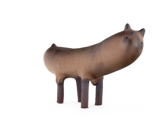 Kozy Kitchens - Shirley