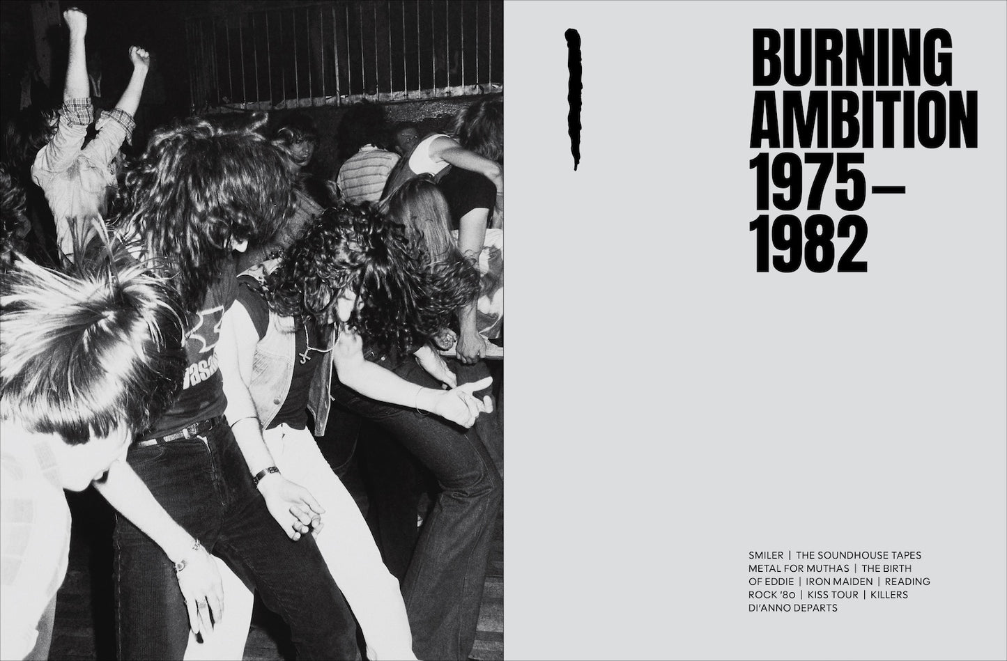 Iron Maiden: Infinite Dreams Book