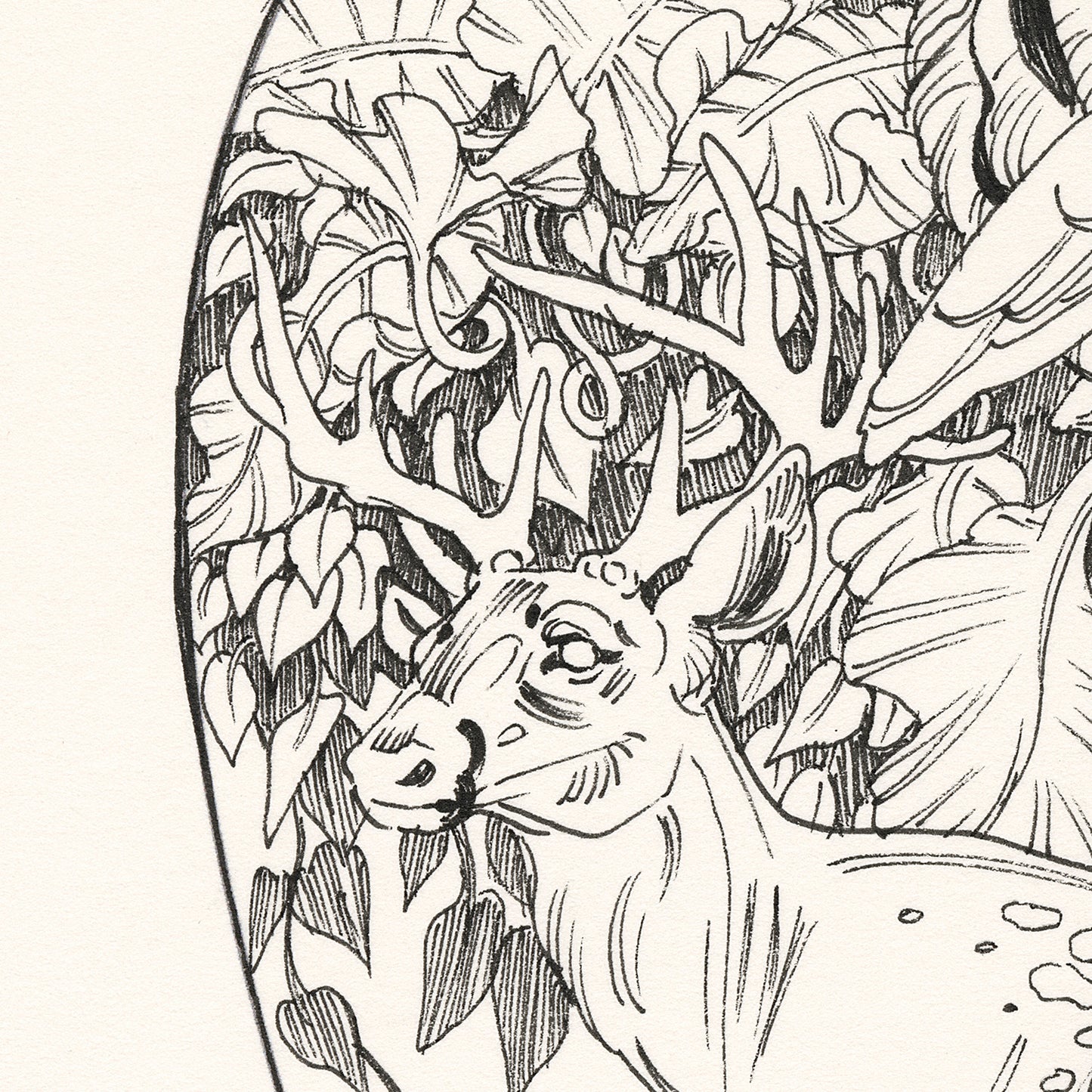 JAW Cooper - 豊かさ