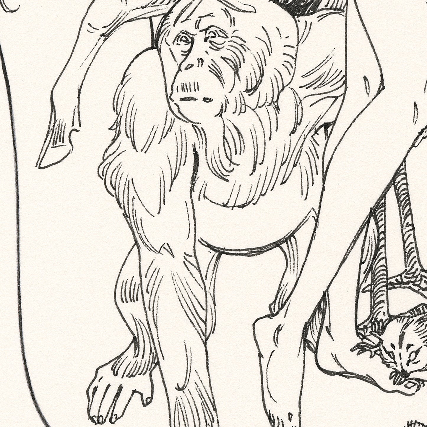 JAW Cooper - 豊かさ