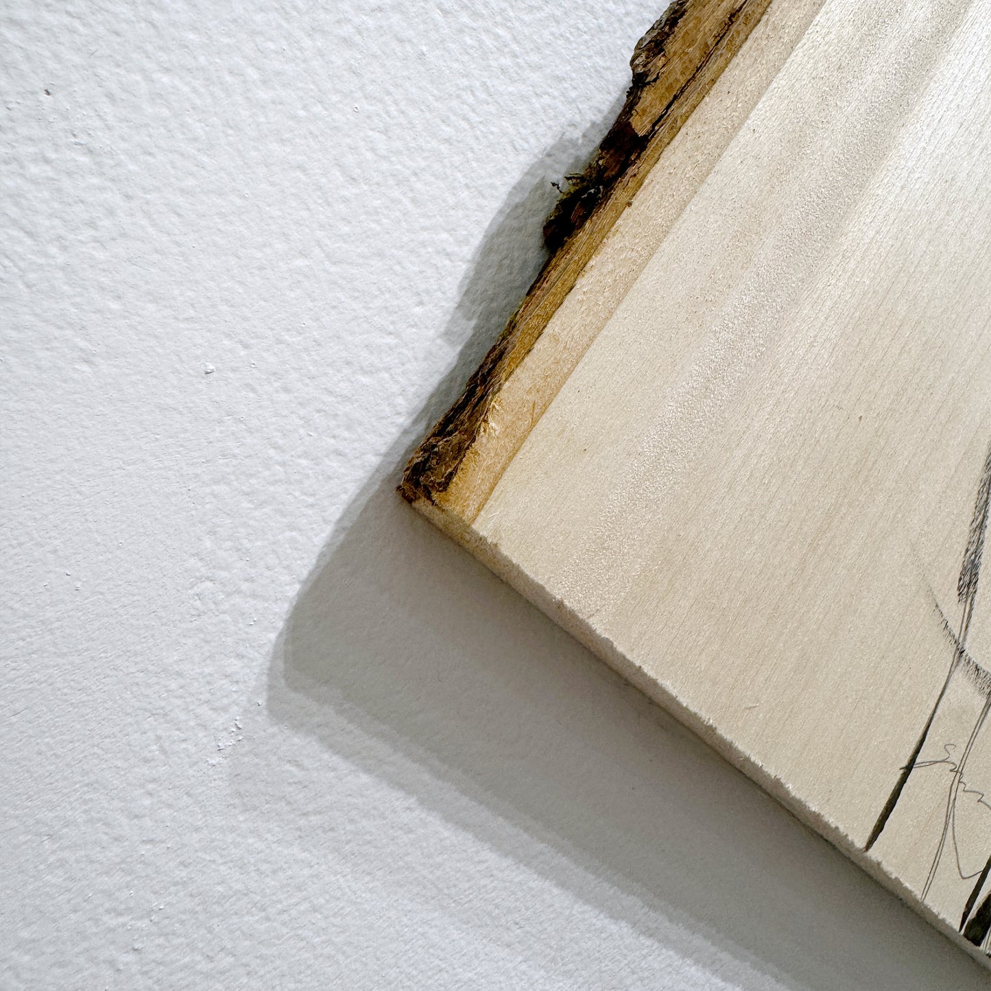 Eliza Ivanova - Back Study II