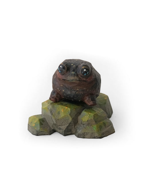 Cassey Kuo - Rain Frog (Mossy Rock)