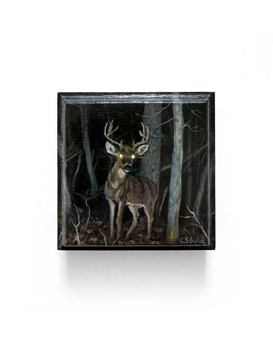 Caleb Sinchok - Deer Eyes
