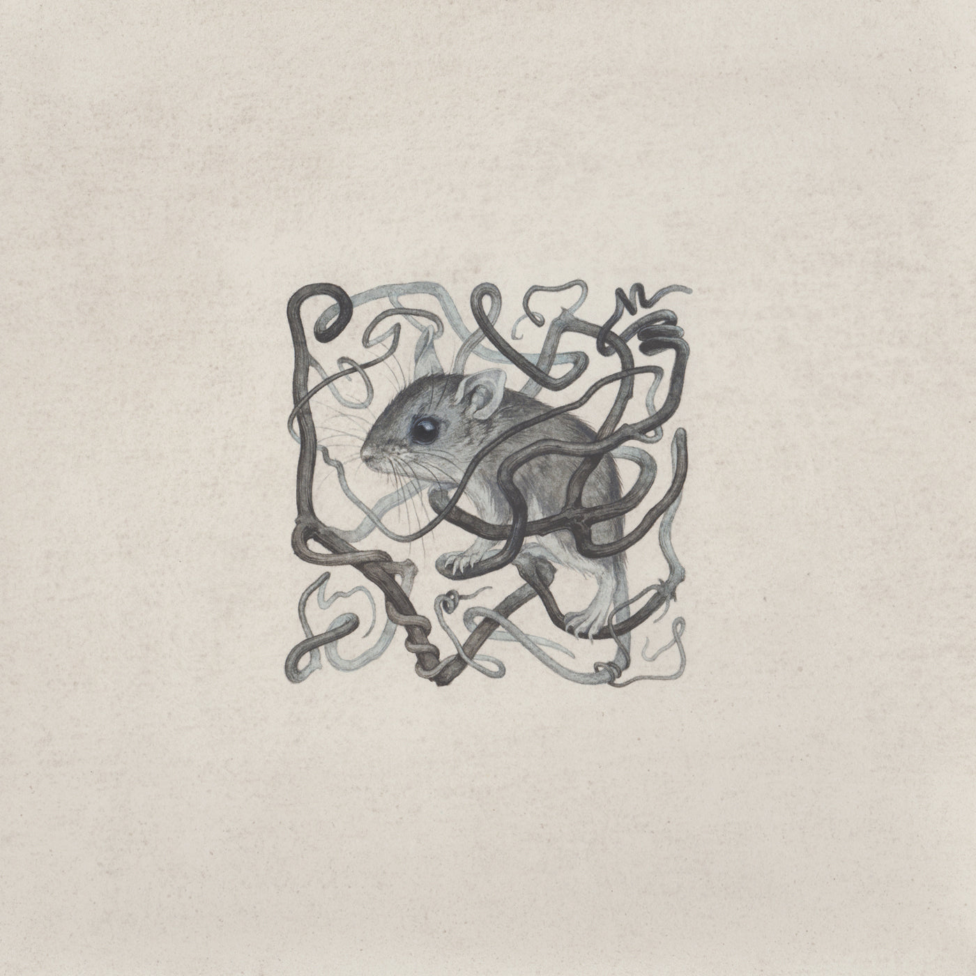 Teagan White - Aimless Path