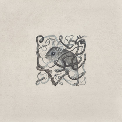 Teagan White - Aimless Path