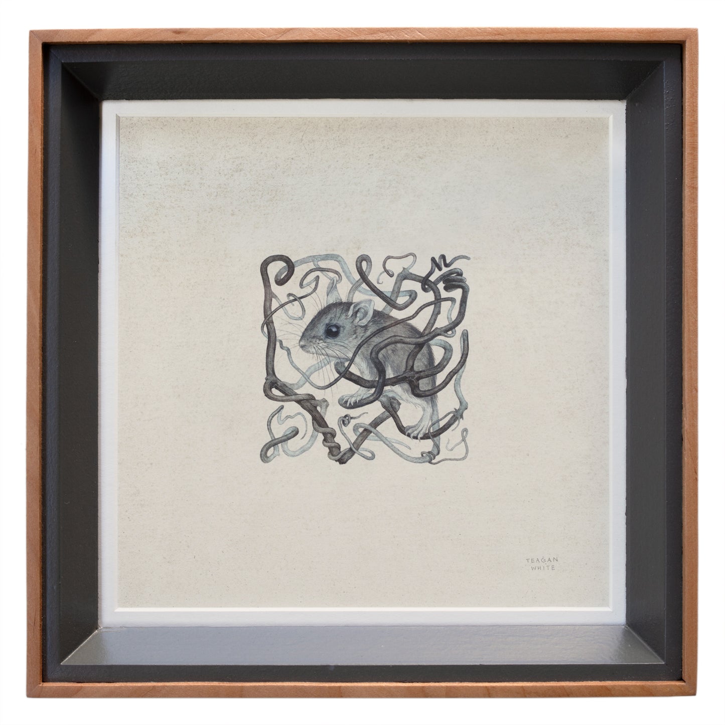 Teagan White - Aimless Path