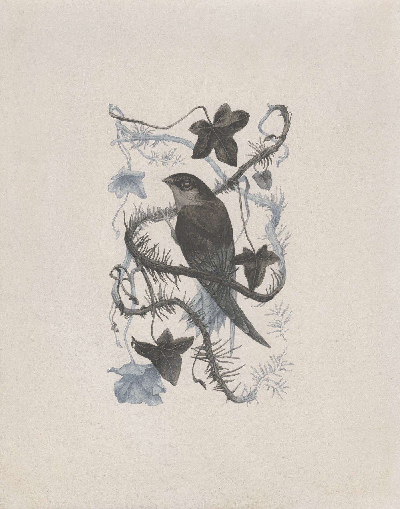 Teagan White - Broken Grasp