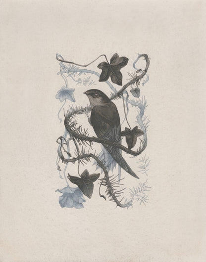 Teagan White - Broken Grasp