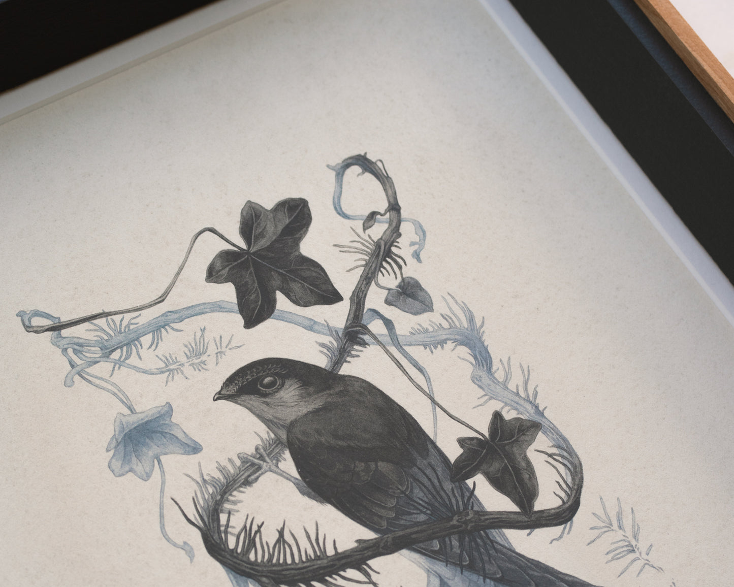 Teagan White - Broken Grasp