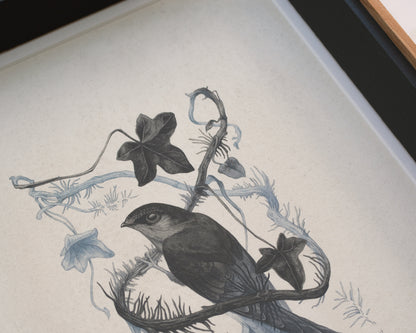 Teagan White - Broken Grasp