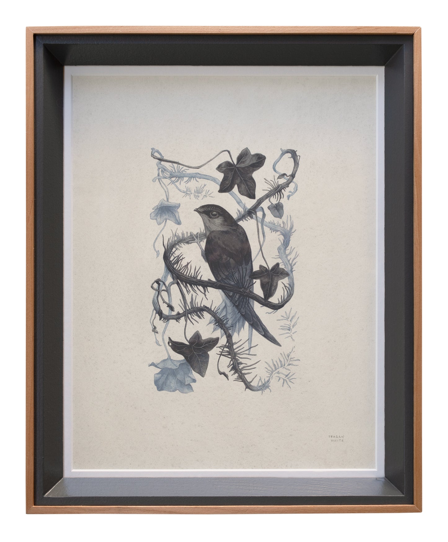 Teagan White - Broken Grasp