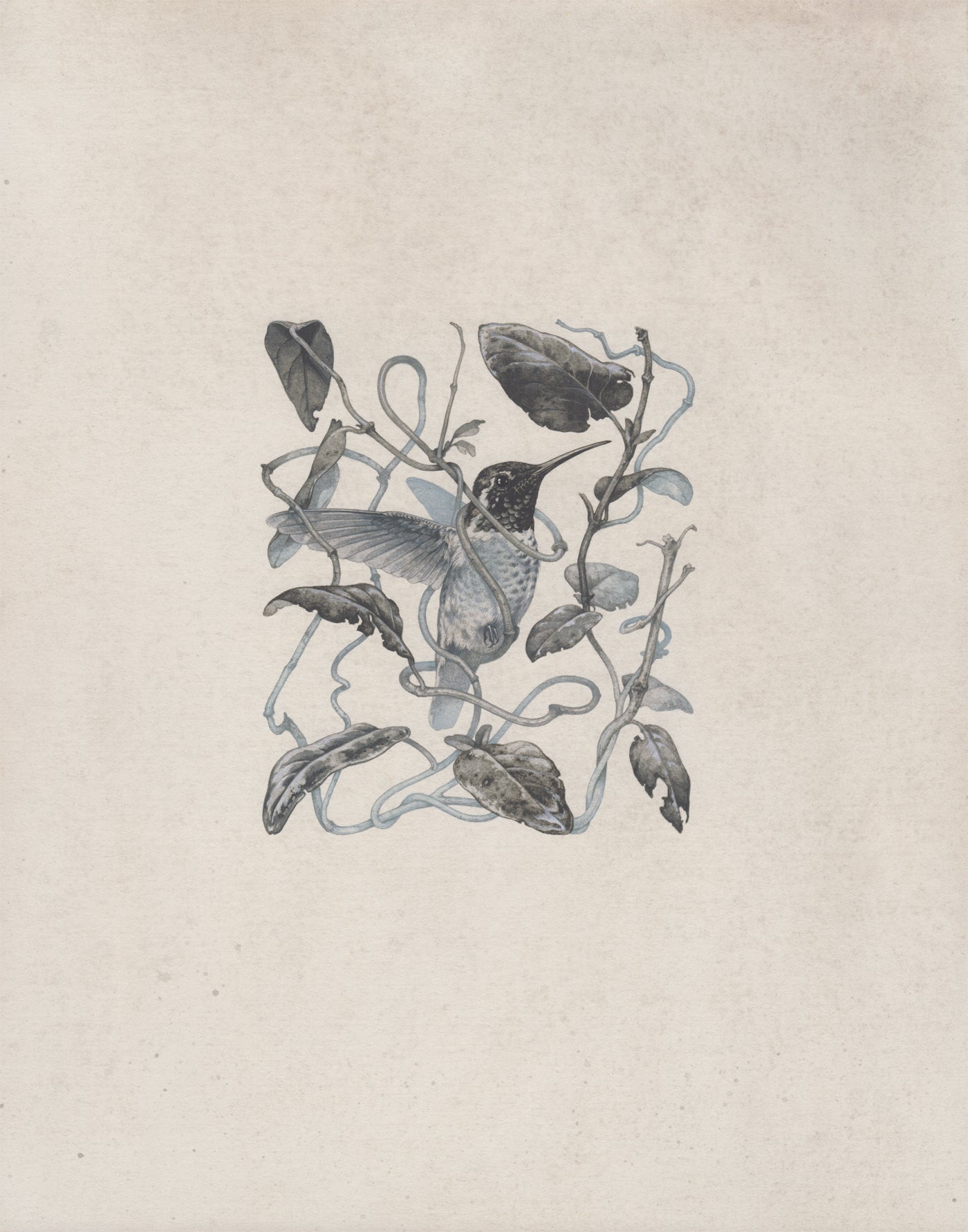 Teagan White - Caustic Nectar