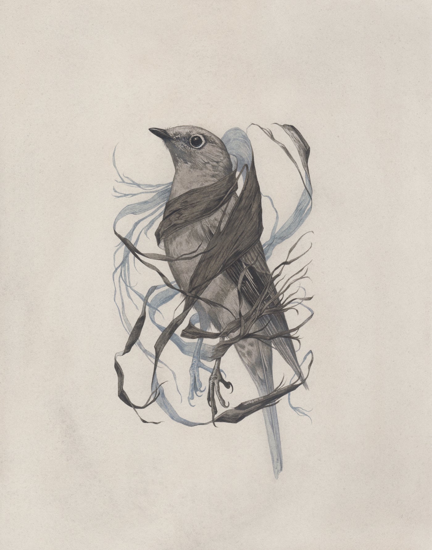 Teagan White - Exposed Canopy