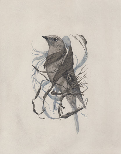 Teagan White - Exposed Canopy