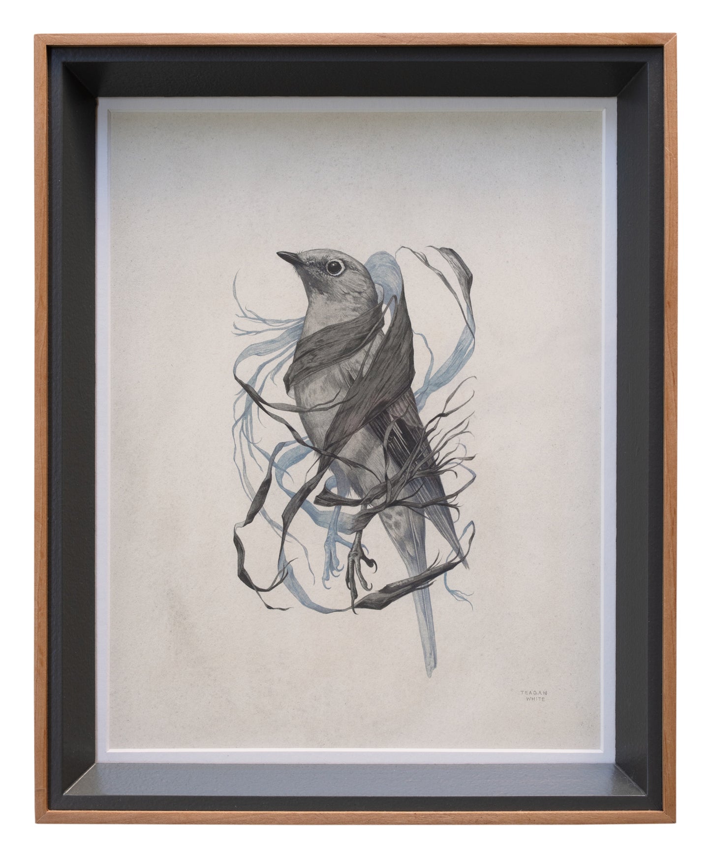 Teagan White - Exposed Canopy