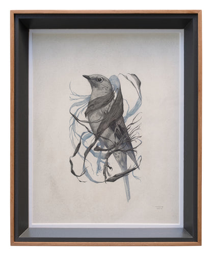 Teagan White - Exposed Canopy