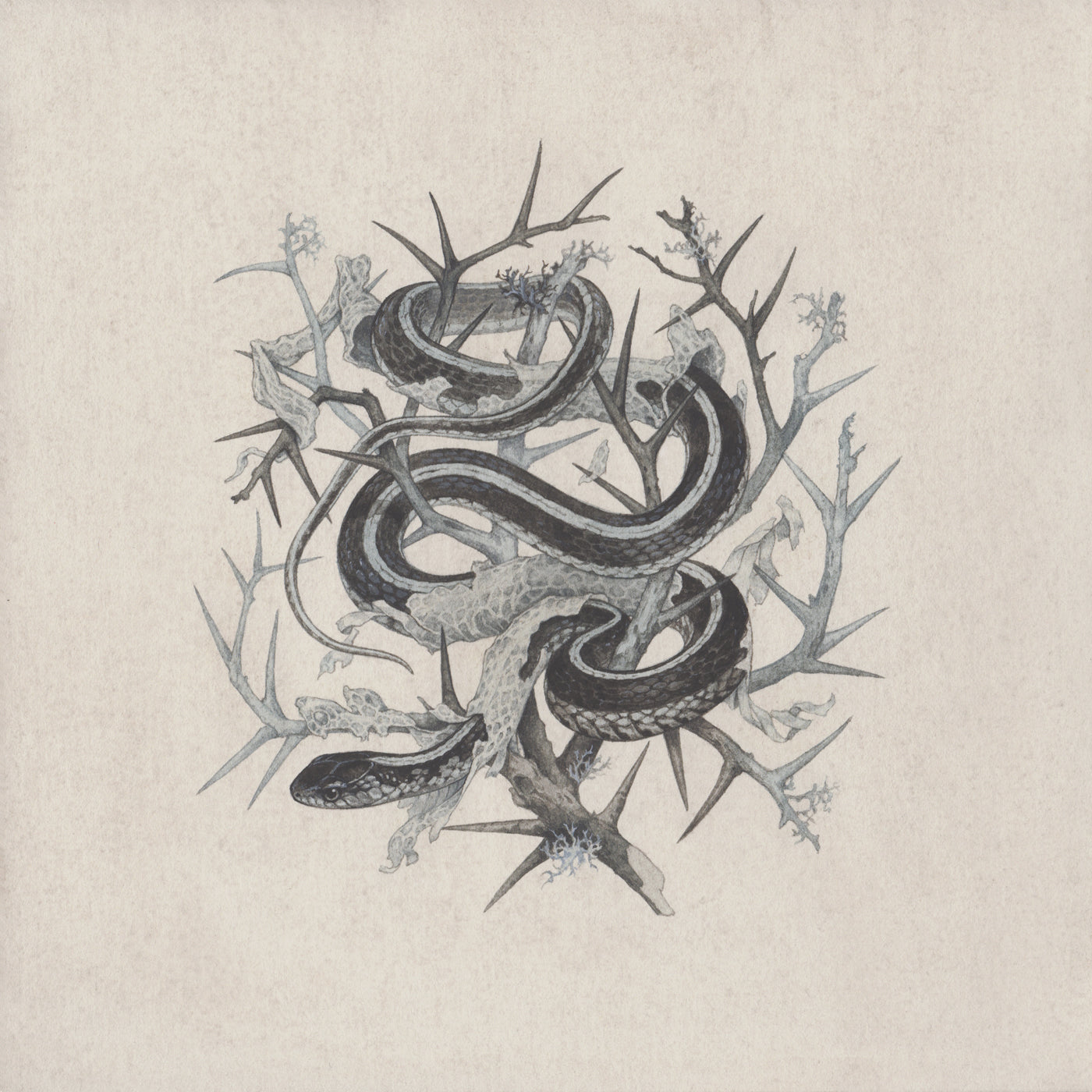 Teagan White - Fleeting Artifacts