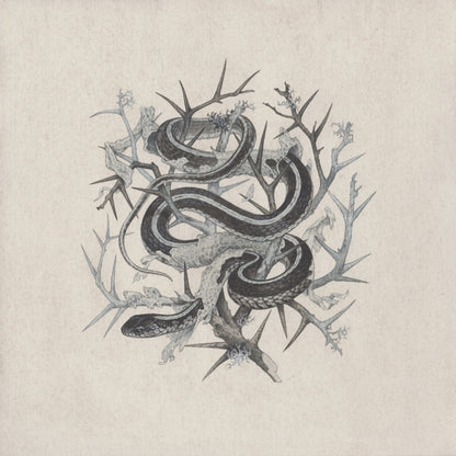 Teagan White - Fleeting Artifacts