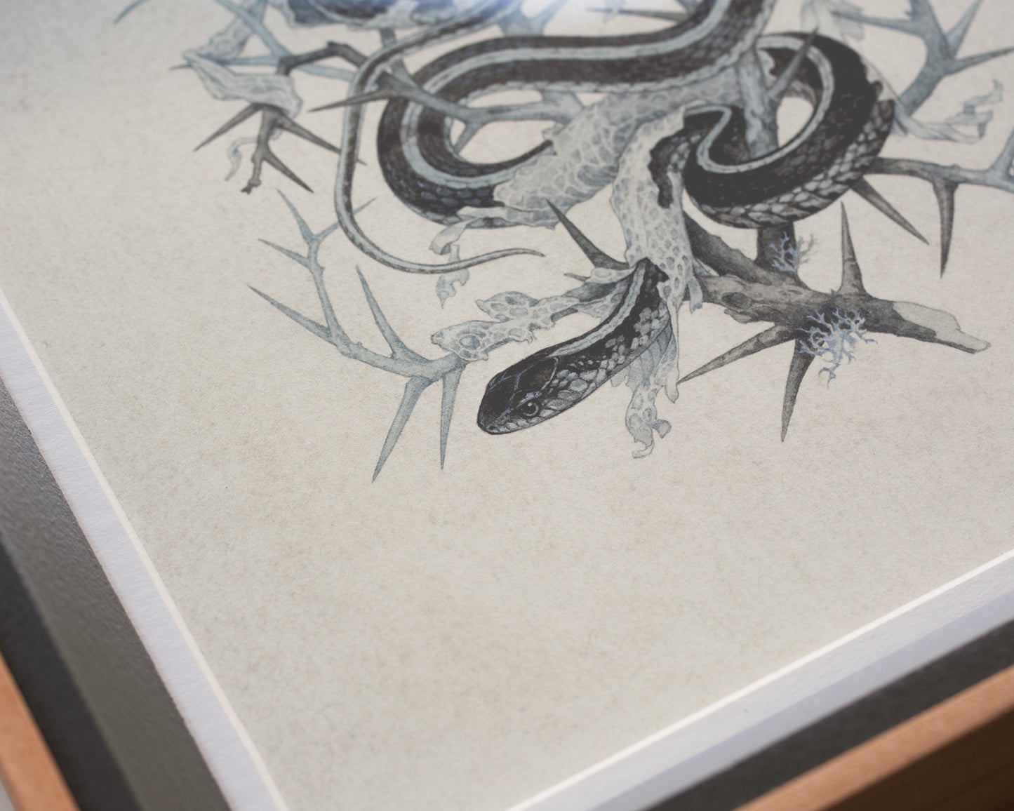 Teagan White - Fleeting Artifacts