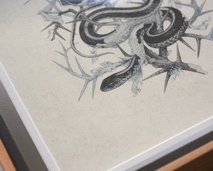 Teagan White - Fleeting Artifacts