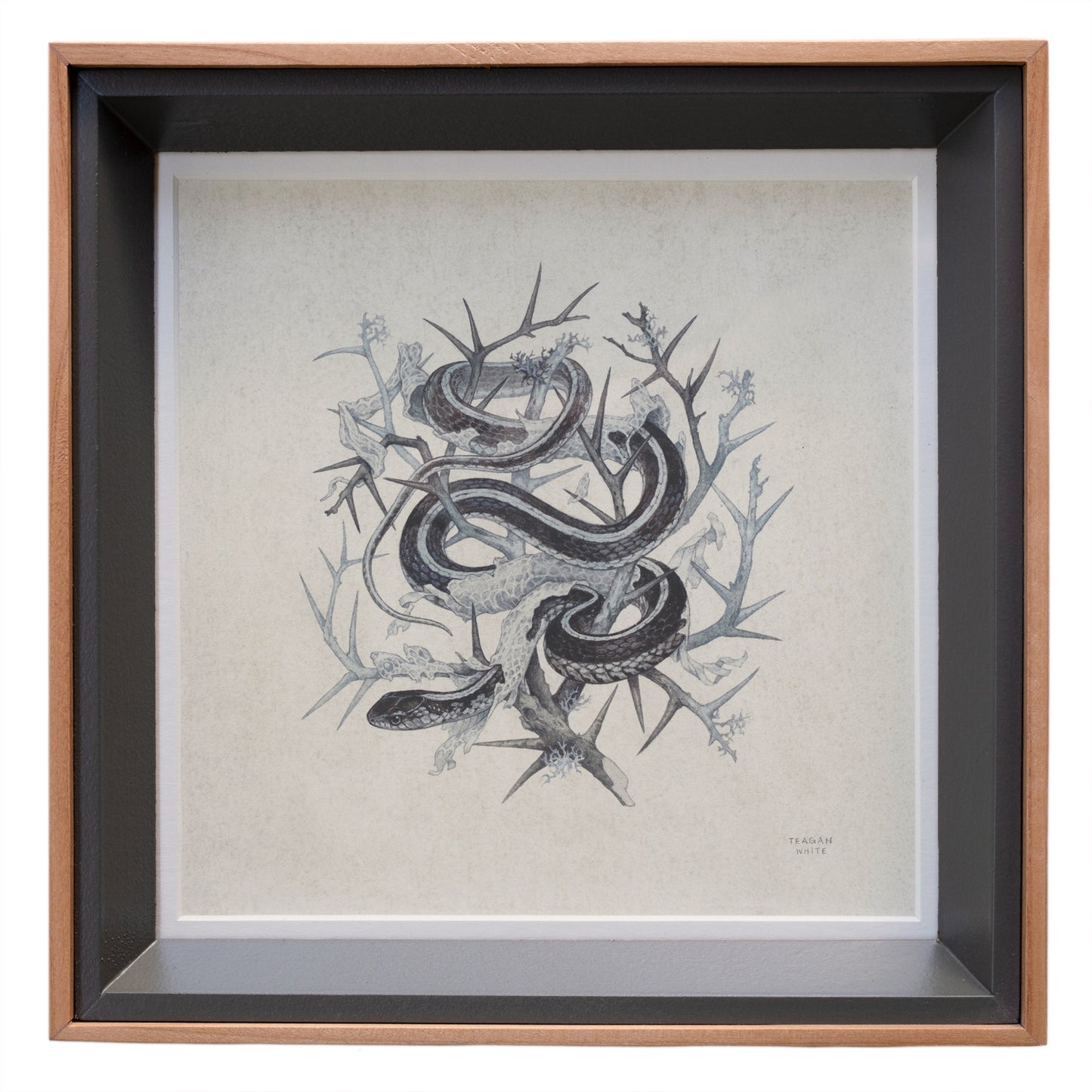 Teagan White - Fleeting Artifacts