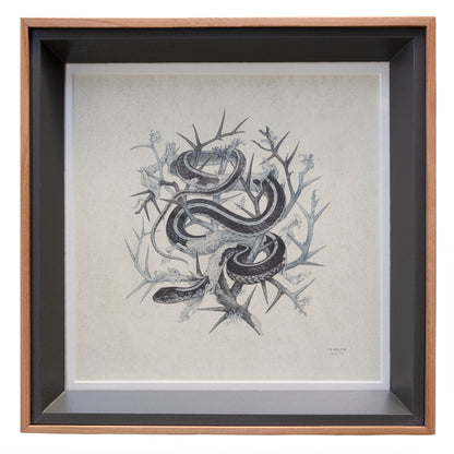 Teagan White - Fleeting Artifacts