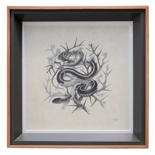 Teagan White - Fleeting Artifacts