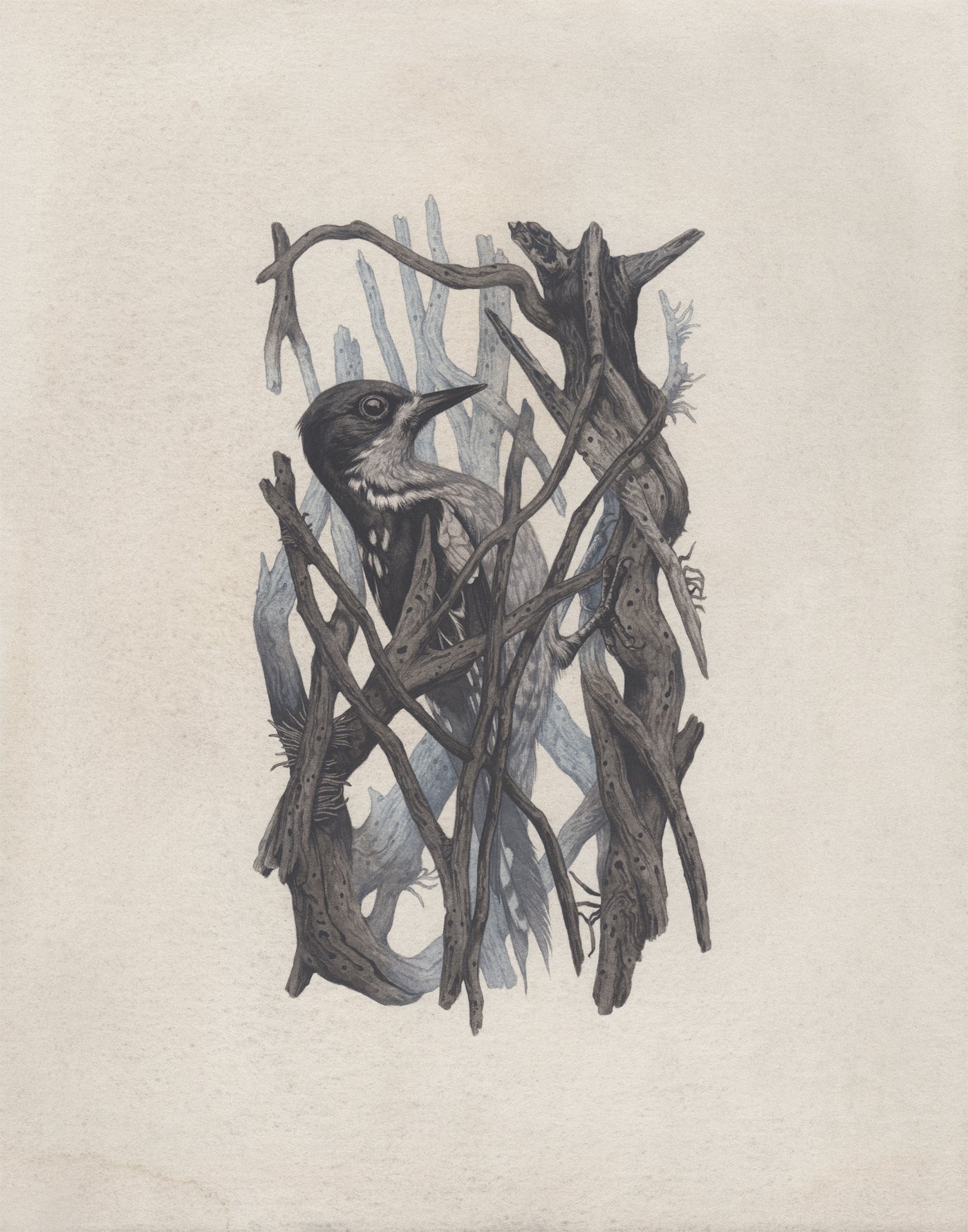 Teagan White - Occupied Cavities