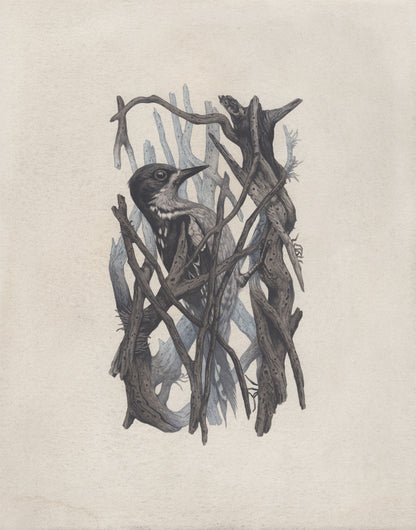 Teagan White - Occupied Cavities