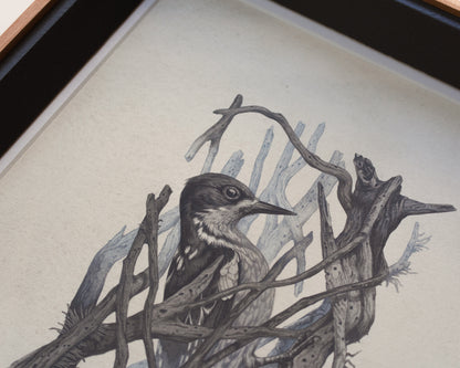 Teagan White - Occupied Cavities