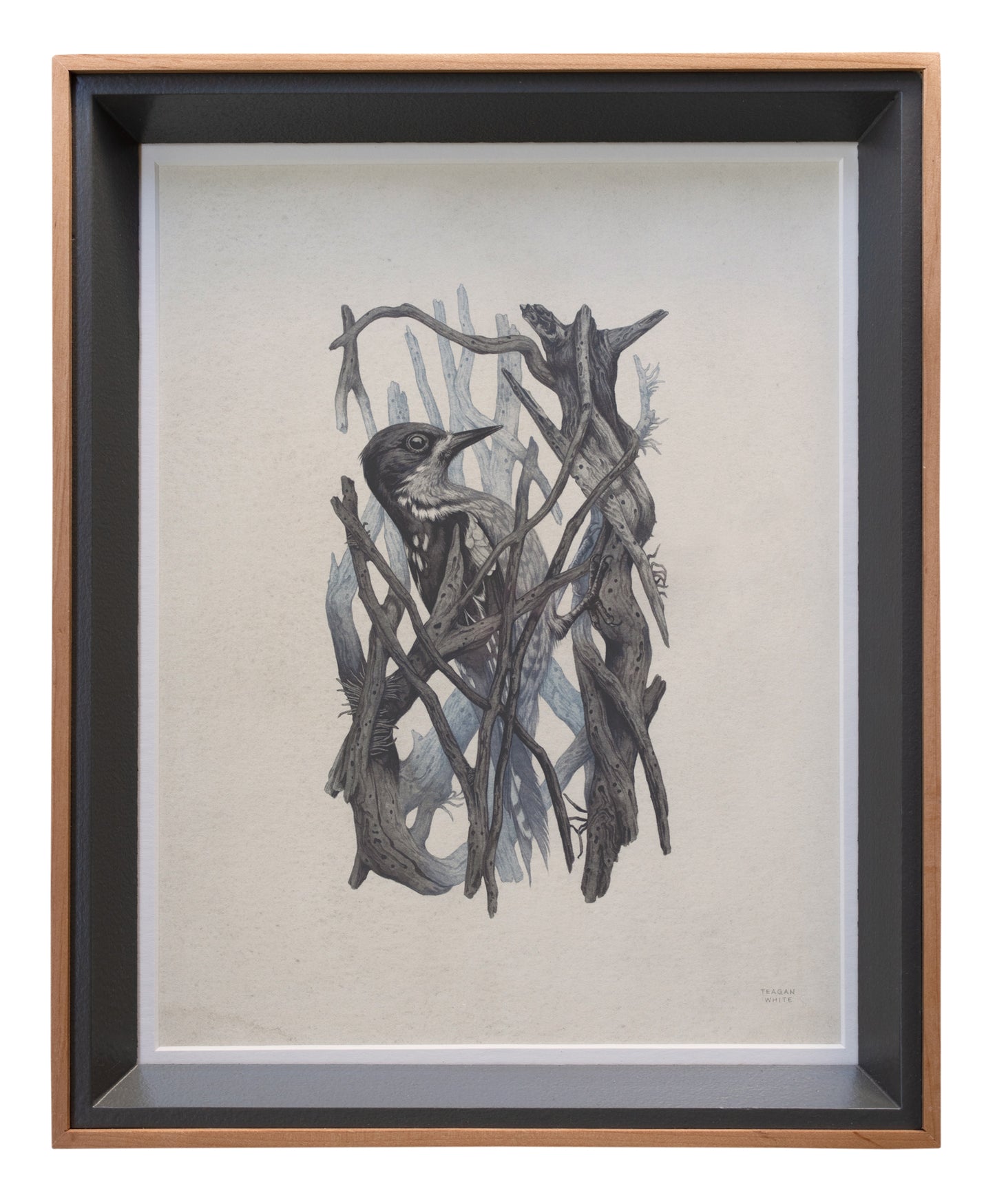 Teagan White - Occupied Cavities