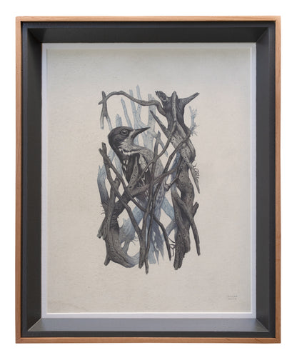 Teagan White - Occupied Cavities