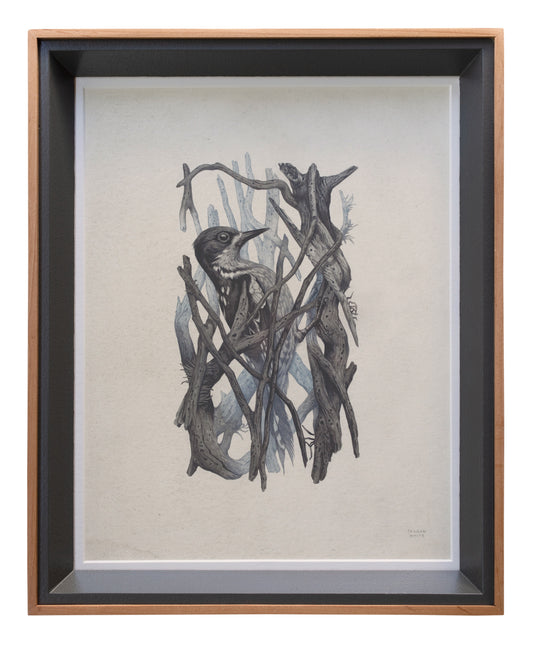 Teagan White - Occupied Cavities