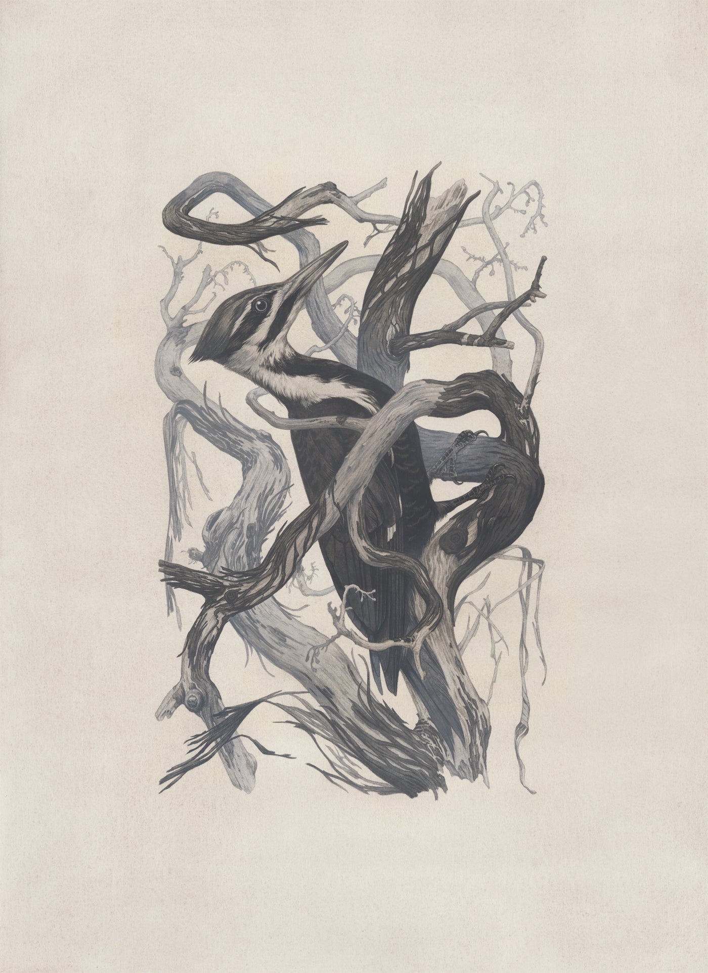 Teagan White - Self-Immolator (Forgotten Gods)