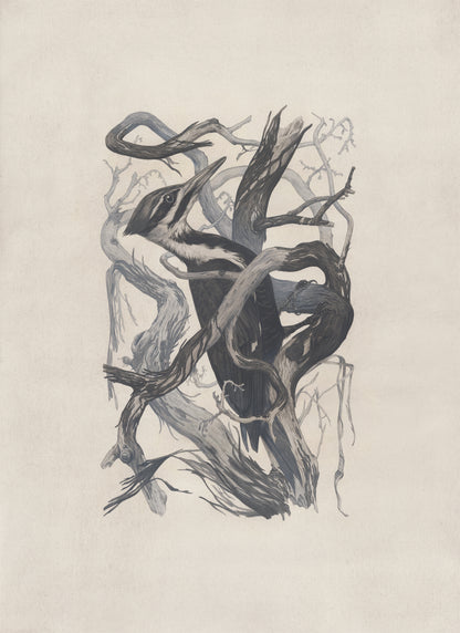 Teagan White - Self-Immolator (Forgotten Gods)