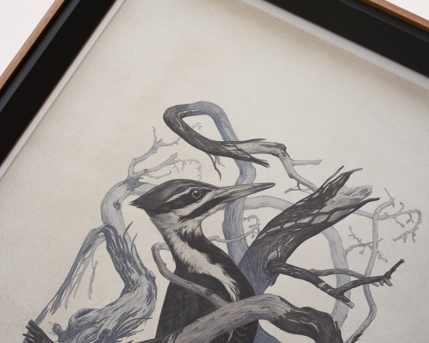 Teagan White - Self-Immolator (Forgotten Gods)