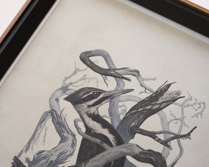 Teagan White - Self-Immolator (Forgotten Gods)