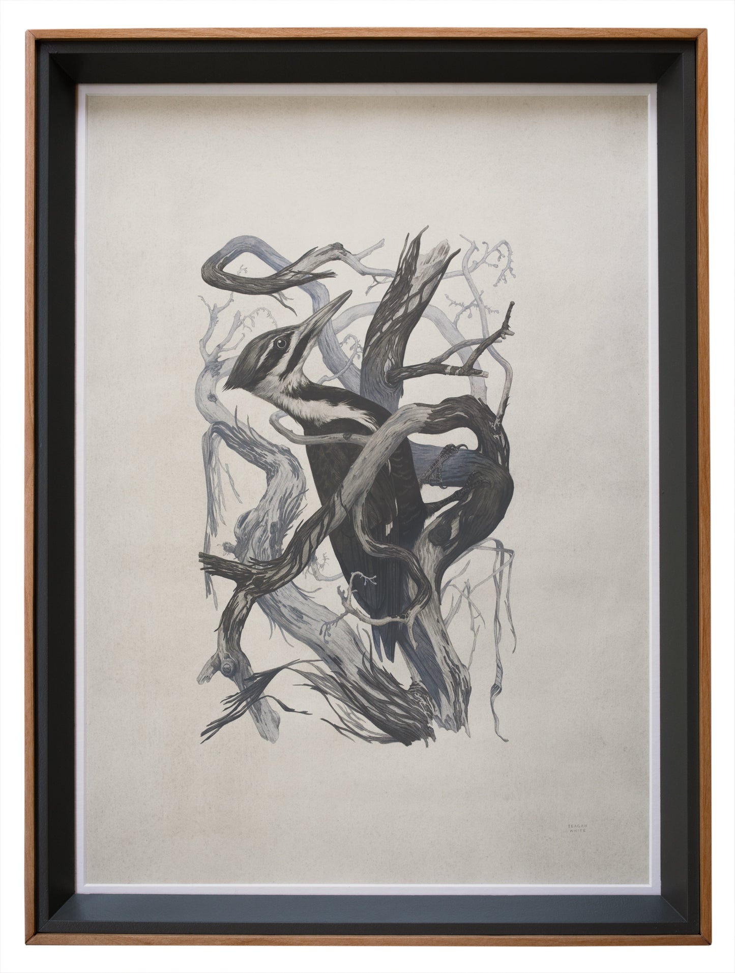 Teagan White - Self-Immolator (Forgotten Gods)