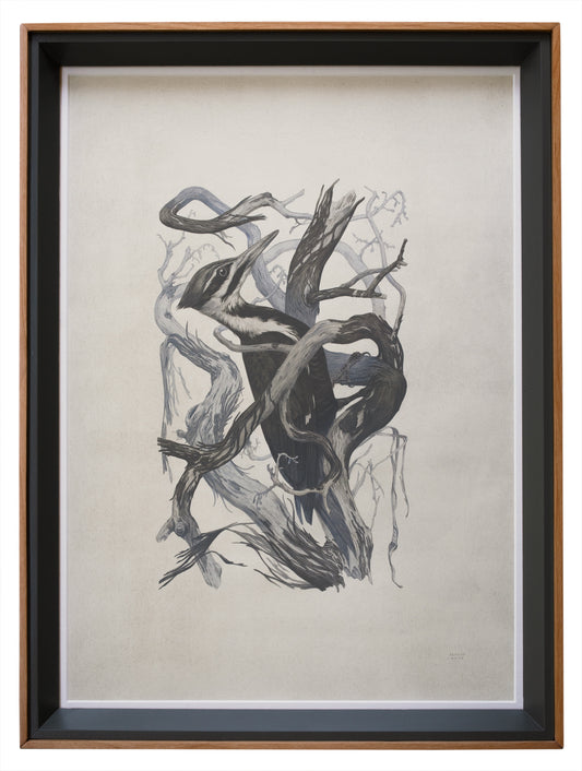 Teagan White - Self-Immolator (Forgotten Gods)